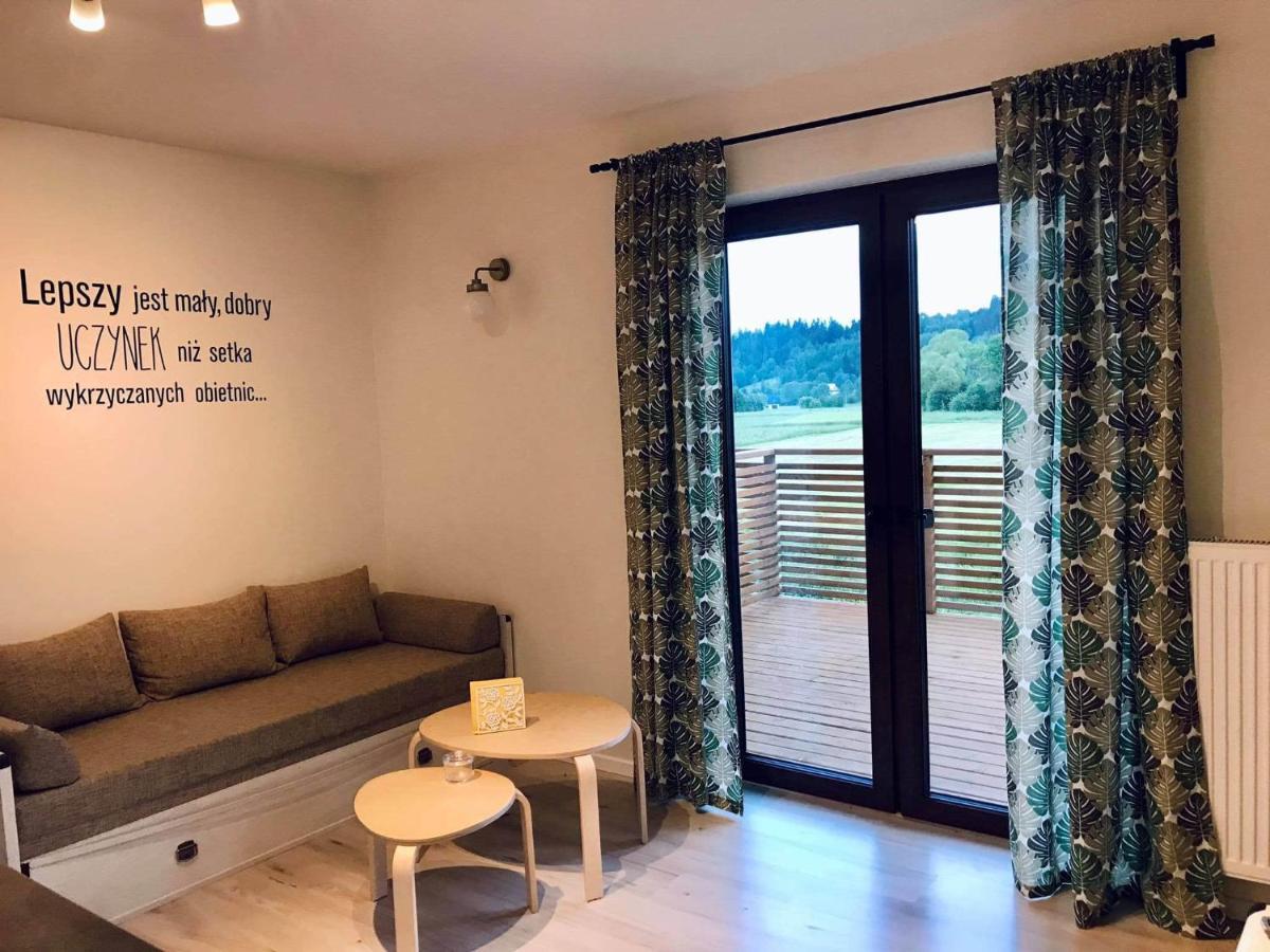 Zubrzyca Gorna Apartament Przy Potoku מראה חיצוני תמונה